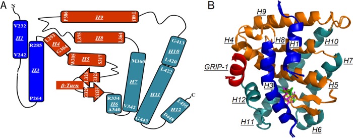 FIGURE 2.