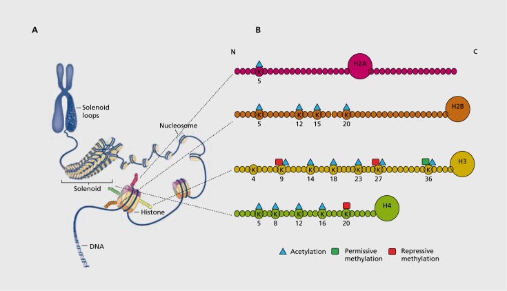 Figure 2.