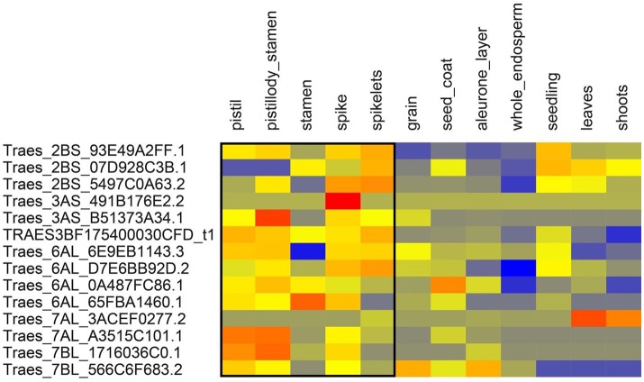 Figure 6