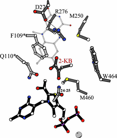 Fig. 5.