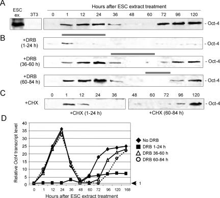 Figure 11.