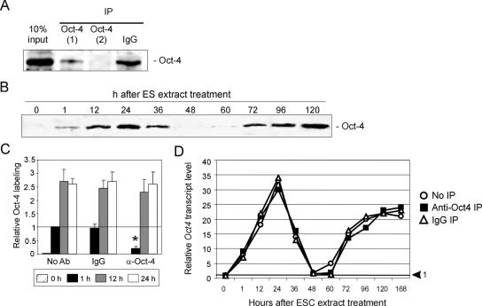 Figure 12.