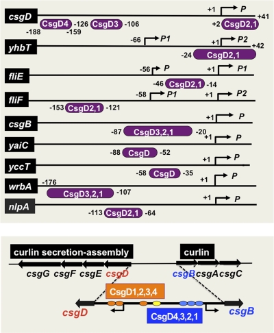 Fig. 3.