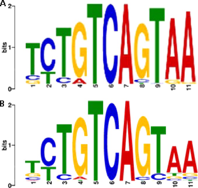 FIG 4