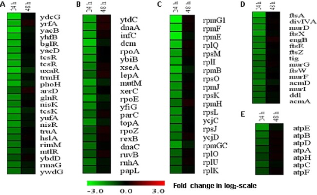 FIG 2