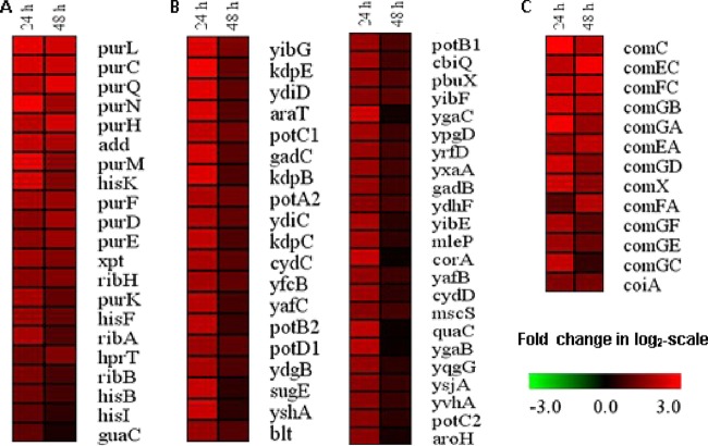 FIG 3