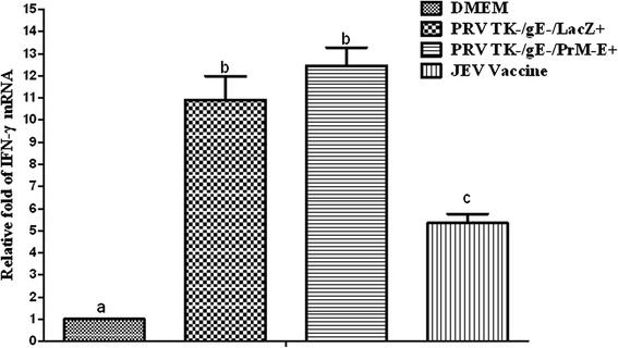 Fig. 5