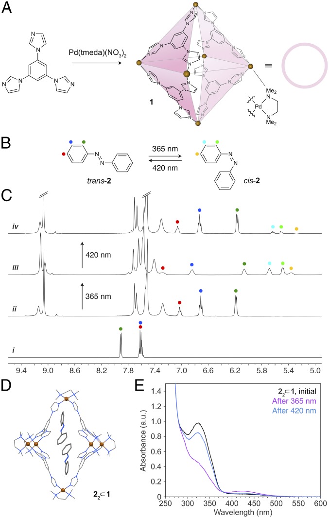 Fig. 1.