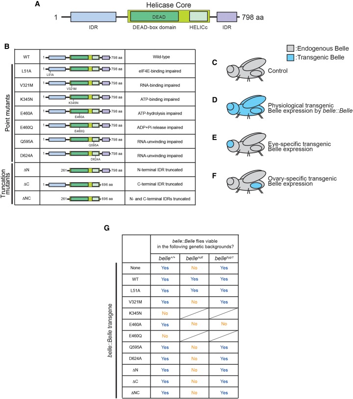 FIGURE 1.