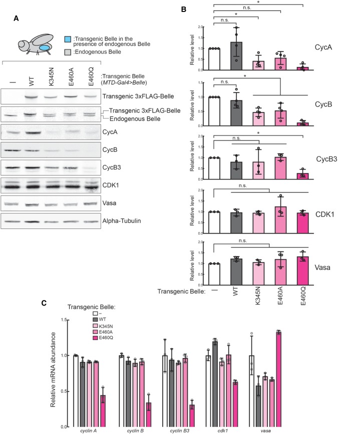 FIGURE 4.