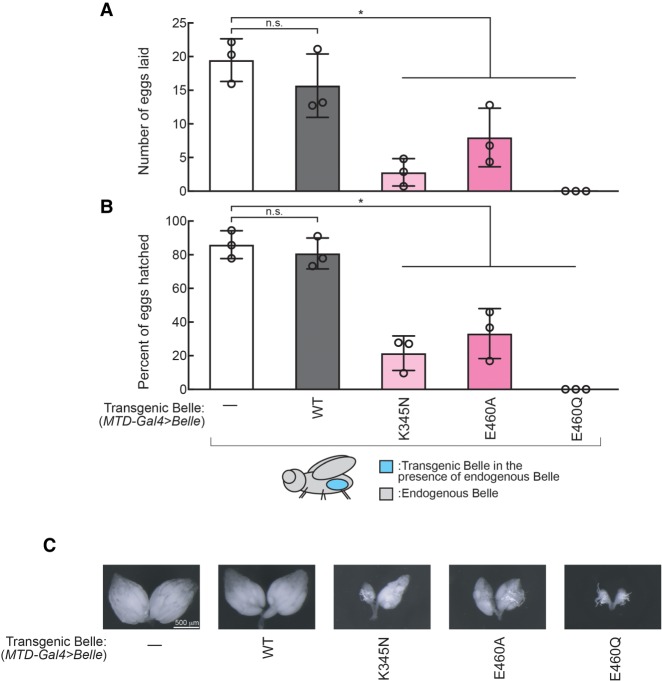 FIGURE 3.