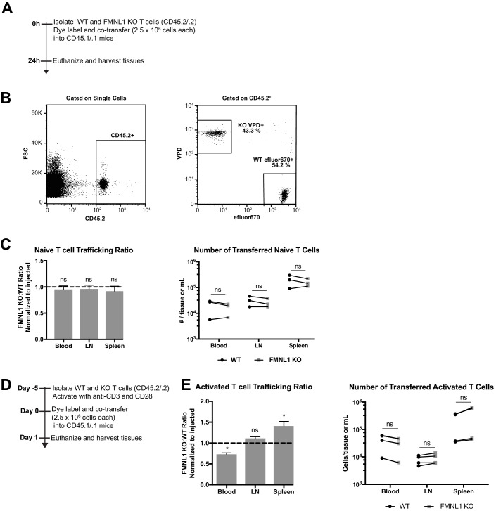 Figure 3—figure supplement 2.