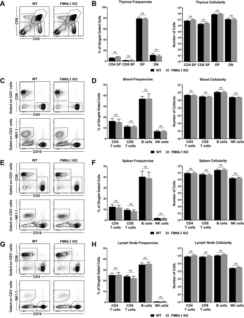 Figure 1—figure supplement 2.