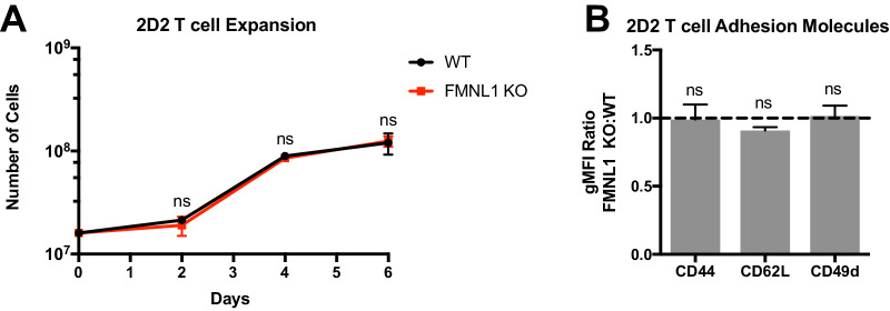 Figure 3—figure supplement 1.