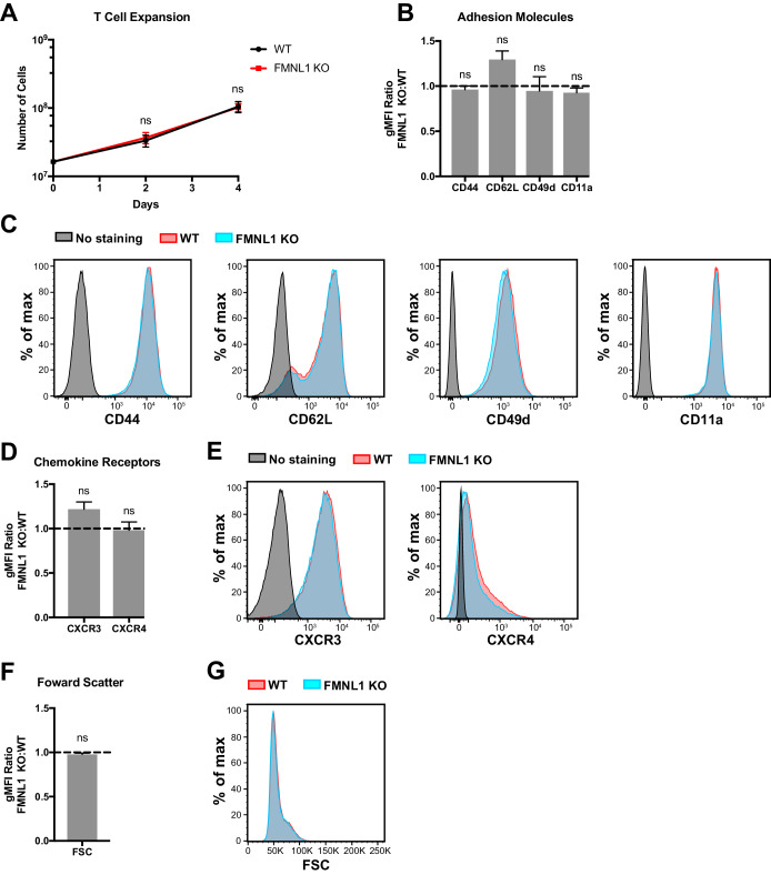 Figure 2—figure supplement 1.