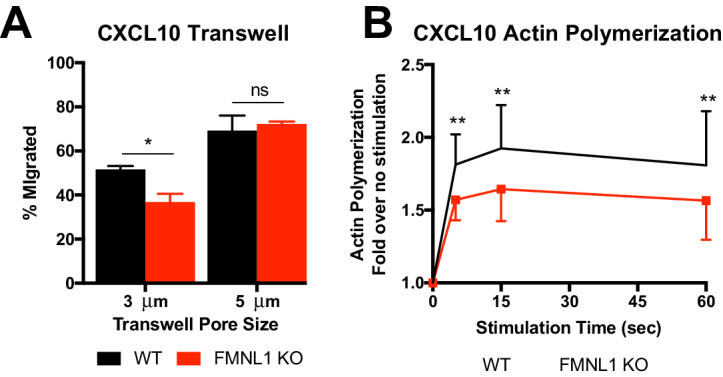 Figure 6—figure supplement 1.