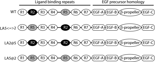 FIGURE 1.