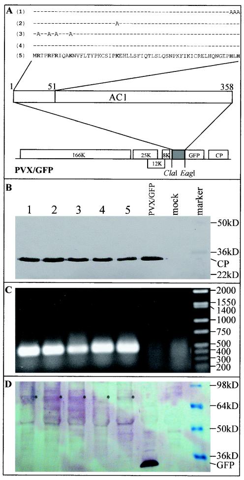 FIG. 4.