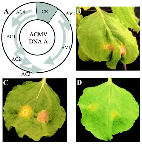 FIG. 7.