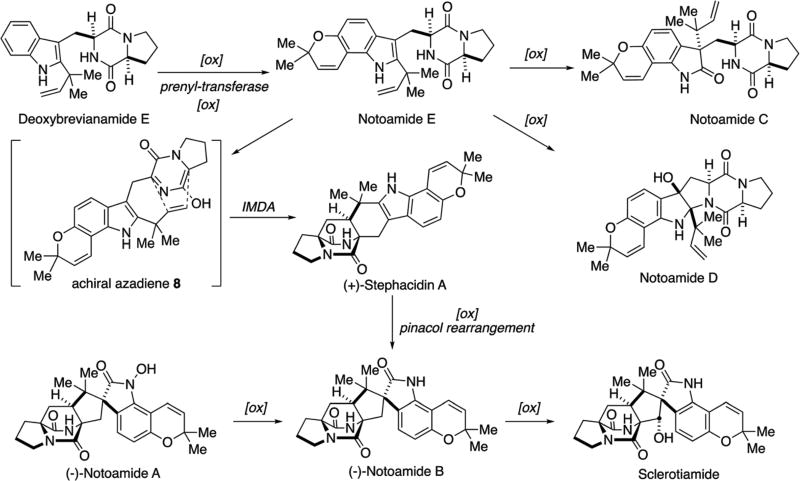 Scheme 3