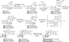 Scheme 23
