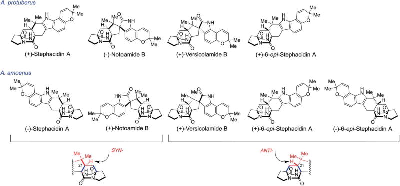 Fig. 9