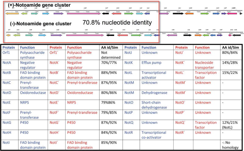 Fig. 12