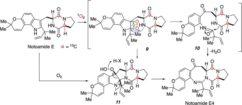 Scheme 4