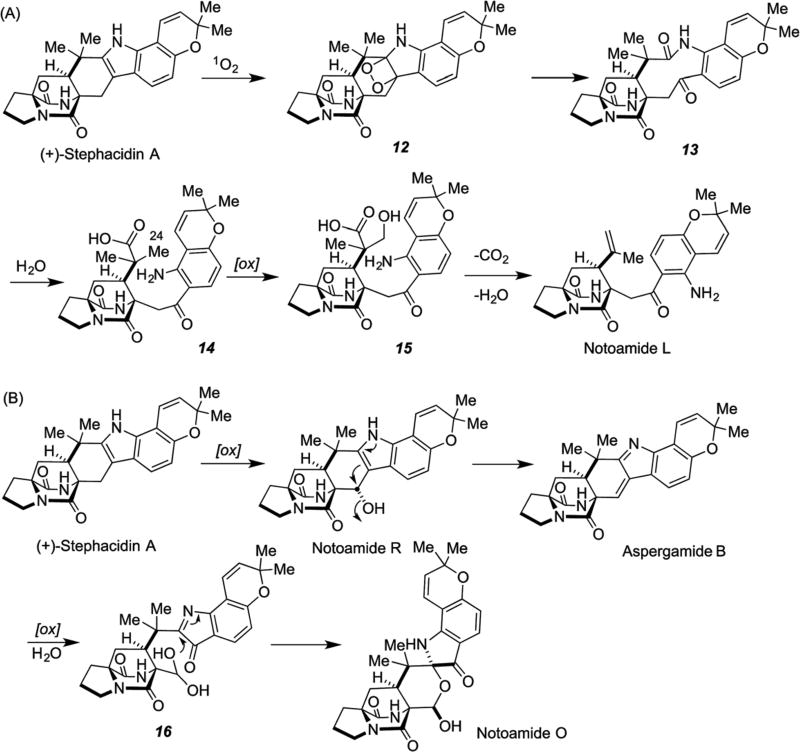 Scheme 6