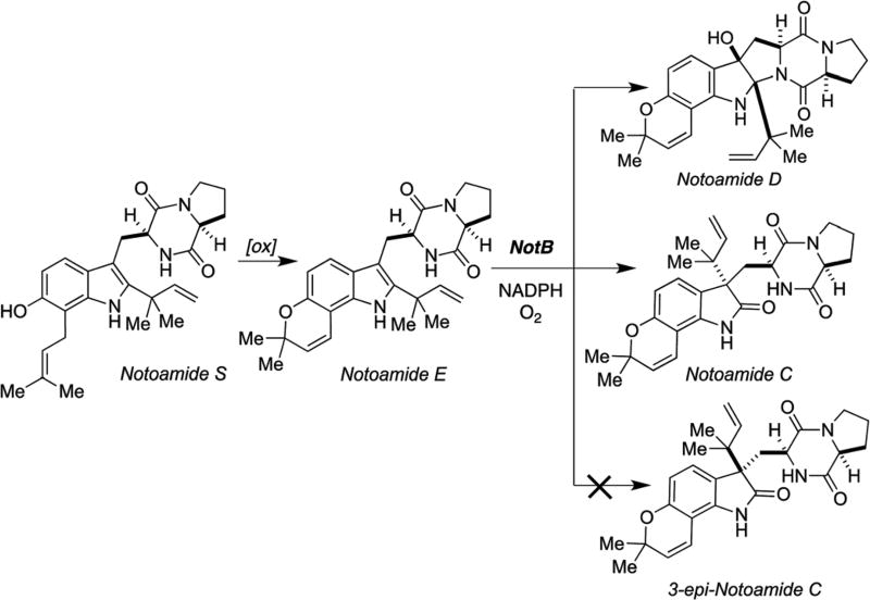 Scheme 14