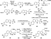Scheme 19