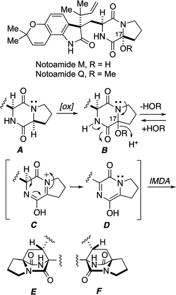 Scheme 5