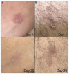 Fig. 6