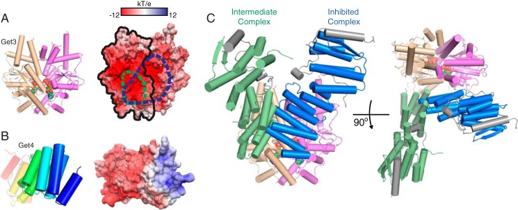 FIGURE 4.