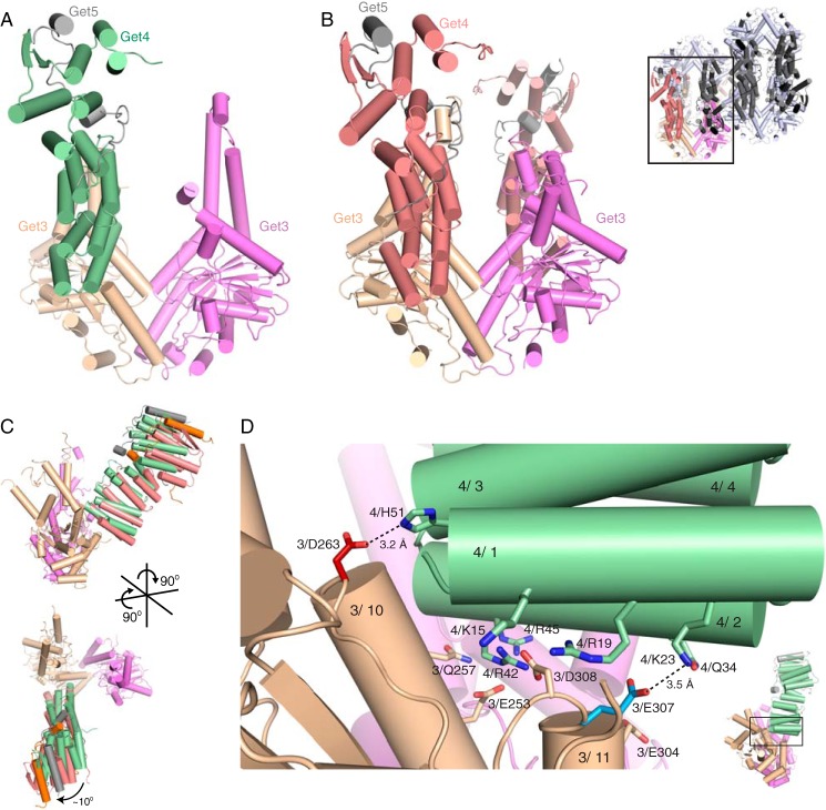 FIGURE 3.