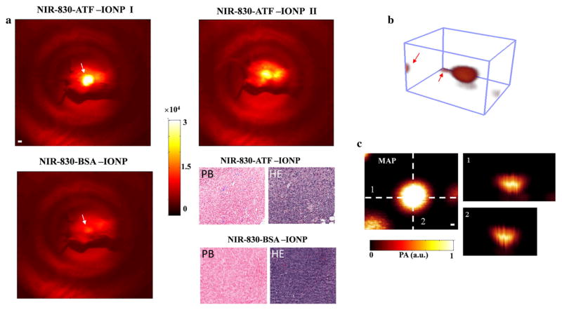 FIG. 2