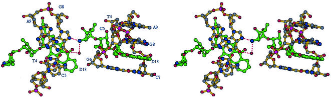 Figure 5