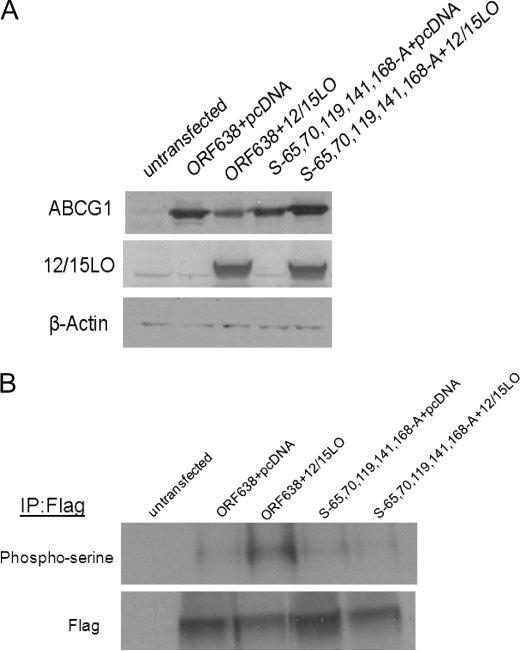 FIGURE 10.