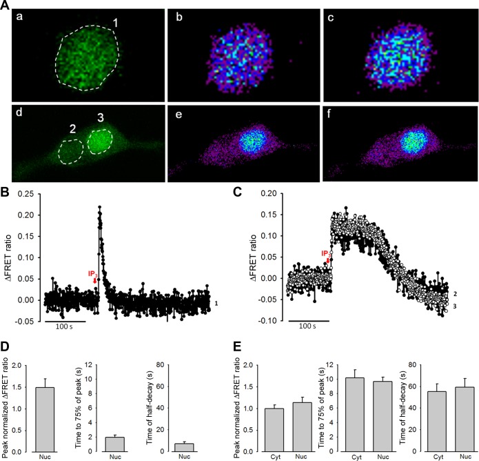 Fig. 3.