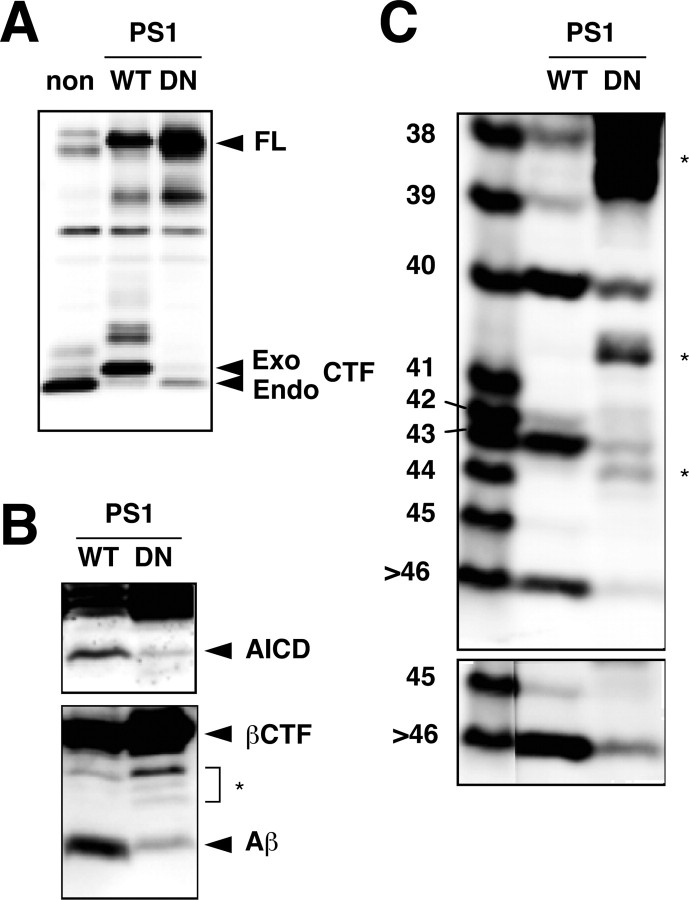  Figure 3. 