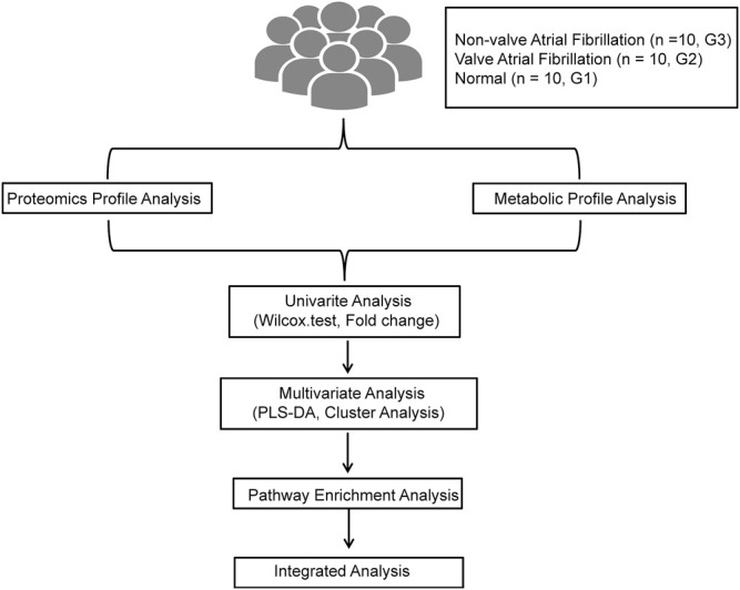 FIGURE 1