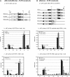 Figure 6