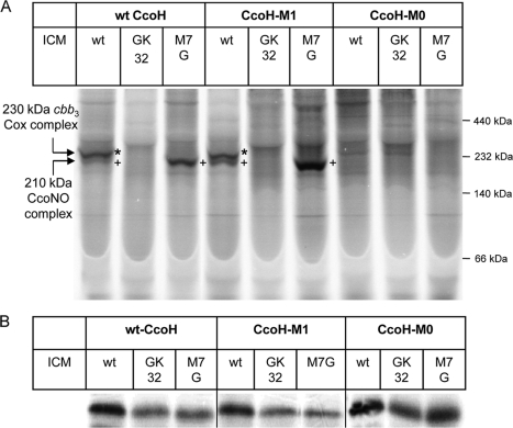 FIG. 6.