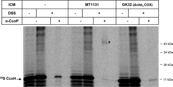 FIG. 5.