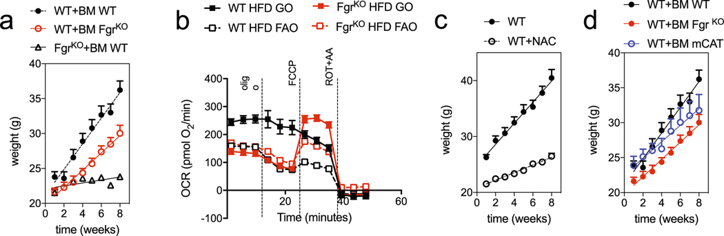 Extended Data Fig. 5 |