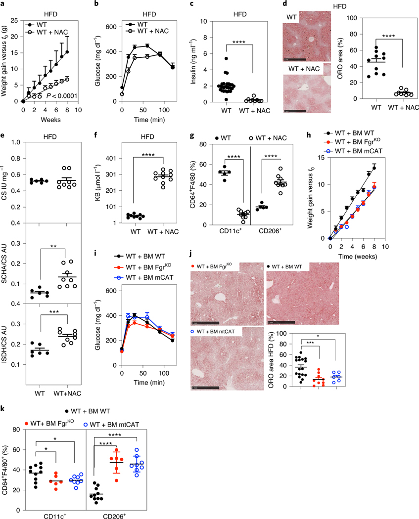 Fig. 7 |