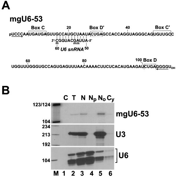 FIG. 1