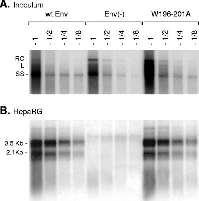 FIG. 7.