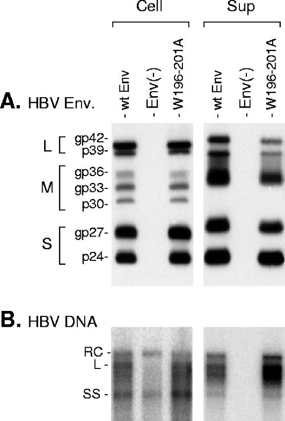 FIG. 6.