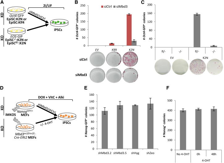 Figure 3